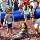 석관초등학교 정문 이미지