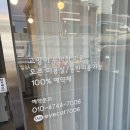 이브캣 이미지