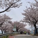 구덕운동장 회전교차로 이미지