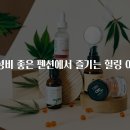 가성비 좋은 펜션에서 즐기는 힐링 여행