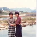 송광초등학교 이미지