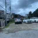 제주은희네해장국의왕포일점 이미지