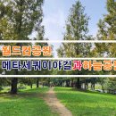 10월14일(토)월드컵공원,메타새쿼이아길과 하늘공원 이미지