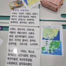 동화야 놀자 | 53개월아이_금정언어발달센터 열정가득한 선생님의 "동화야놀자" 바우처 수업 1년 후기