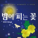 로망띠끄 이미지