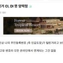 티빙 털린거 CI, DI 뜻 앙딱정 이미지
