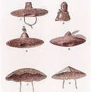 03. 모자의 나라 조선-특수용 모자들 이미지
