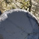 오아시스크리닝 이미지