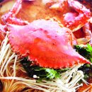 식도락