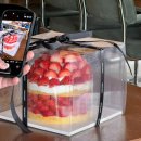 곰내길 | 부산 기장 딸기케이크 맛집 라이프라이크 내돈내산 후기