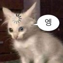 <W_1> 예비신랑이 말아주는 웨딩일기 | BEXCO 웨딩박람회 솔직 방문 후기
