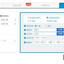 금빛창