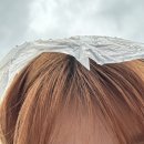 케이씨에너지(주) | DAY6 Forever Young Finale in Seoul 막첫, 막중콘_널 사랑해 변함없이