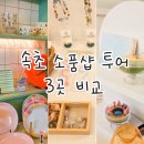 잠자리 | 속초 소품샵ㅣ3곳 비교 호두잡화점 룩앳미타임 조개줍깅 내돈내산후기