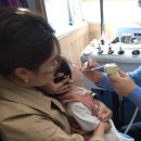 중앙동295 이미지