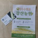 강산농원 강원도 홍천 미백 찰옥수수 삶은 옥수수 내돈내산 택배후기
