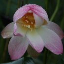 주천중학교 이미지