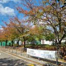 수지체육공원(배드민턴) 이미지