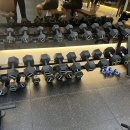 서울) 포디움 덤벨 330kg , 렉스코 2단 덤벨렉 일괄판매 , 월 볼 8파운드 판매합니다. 이미지