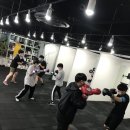 백석복싱체육관 이미지