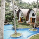 그린몽키 이미지