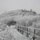 설국