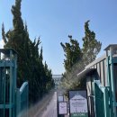 외도널서리 이미지