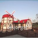 튤립공원 이미지