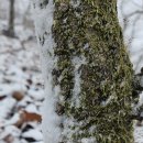 마동마을 이미지