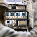 동태백로 이미지