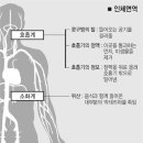 놀라운 인체의 면역시스템 이미지