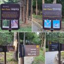 자작나무집 펜션 이미지