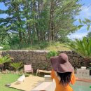 더포레스트하소로 이미지