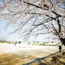 능북초등학교 이미지