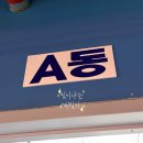 워터파크 | 영등포 씨랄라 워터파크 후기｜가격·할인·주차·시설 총정리