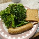 오쿡김밥 | 극대노와 칭찬을 오가며, 먹어본 닭가슴살 내돈내산 리뷰(오쿡,씨지엠,굽네몰)