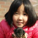 신덕마을 이미지