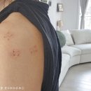 천사들의 먹거리 이미지