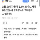 3월 소비자물가 3.1% 상승…사과 88.2%·배 87.8%↑ &#39;역대 최고&#39;(종합) 이미지