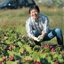 에버그린농장 이미지