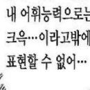 샐몬무쌉 네이버블로그