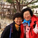 두곡할머니 이미지