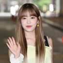 레이첼일산