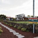 놀멍쉬멍자멍 이미지