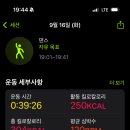 우아점핑