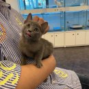 제이제이캣 이미지