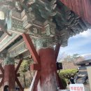 꽃보다예쁘개 | 26년3월 여행2일차(1):경주[불국+석굴사,첨성대,석빙고,월성동궁]