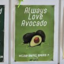 마이쥬스을지트윈 이미지