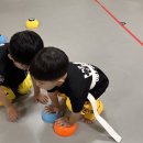 작전어린이집 | [작전동태권도/작전초등학교]📌 유아태권도 필요성, 언제 시작해야 할까?