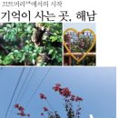 예송한옥민박 | 11.18~20 해남 여행 스케쥴